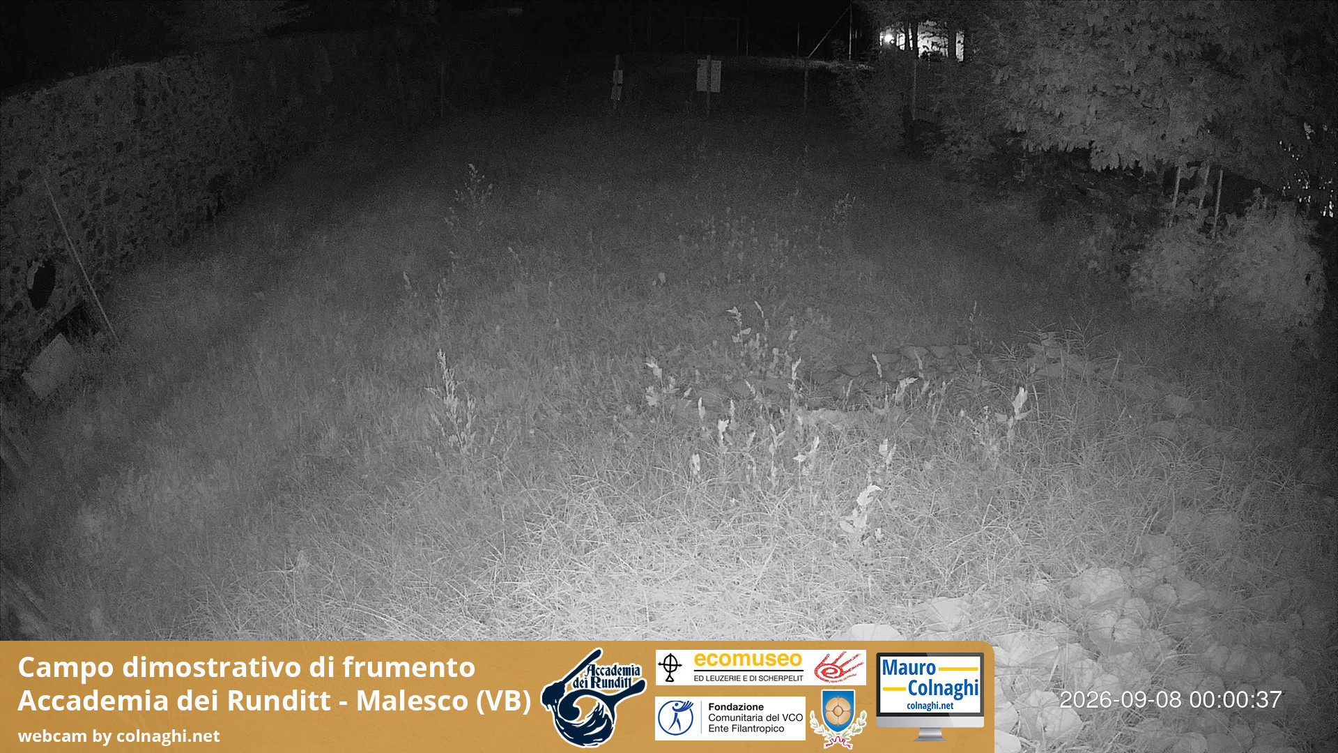 time-lapse frame, Grano webcam