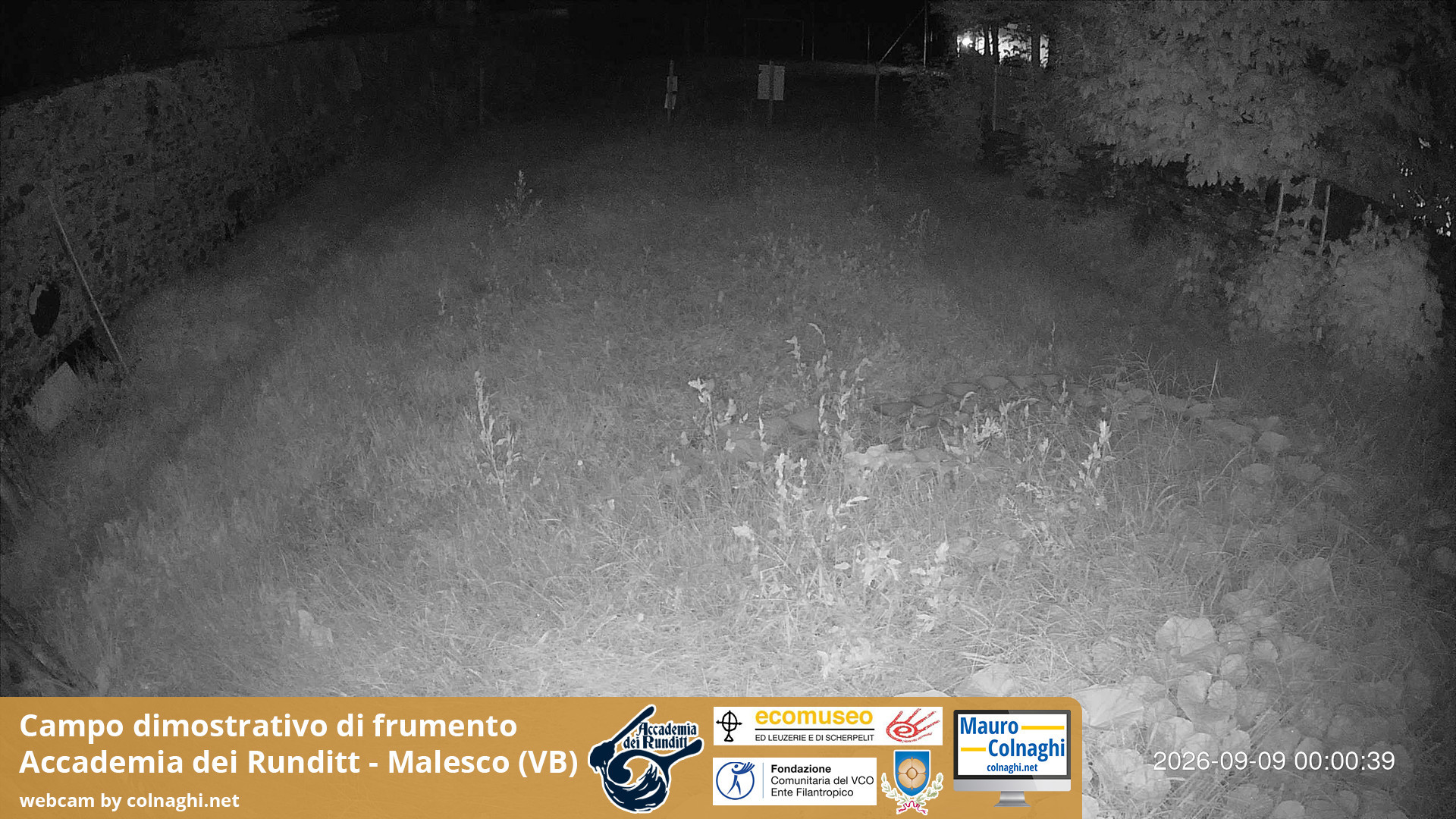 time-lapse frame, Grano webcam
