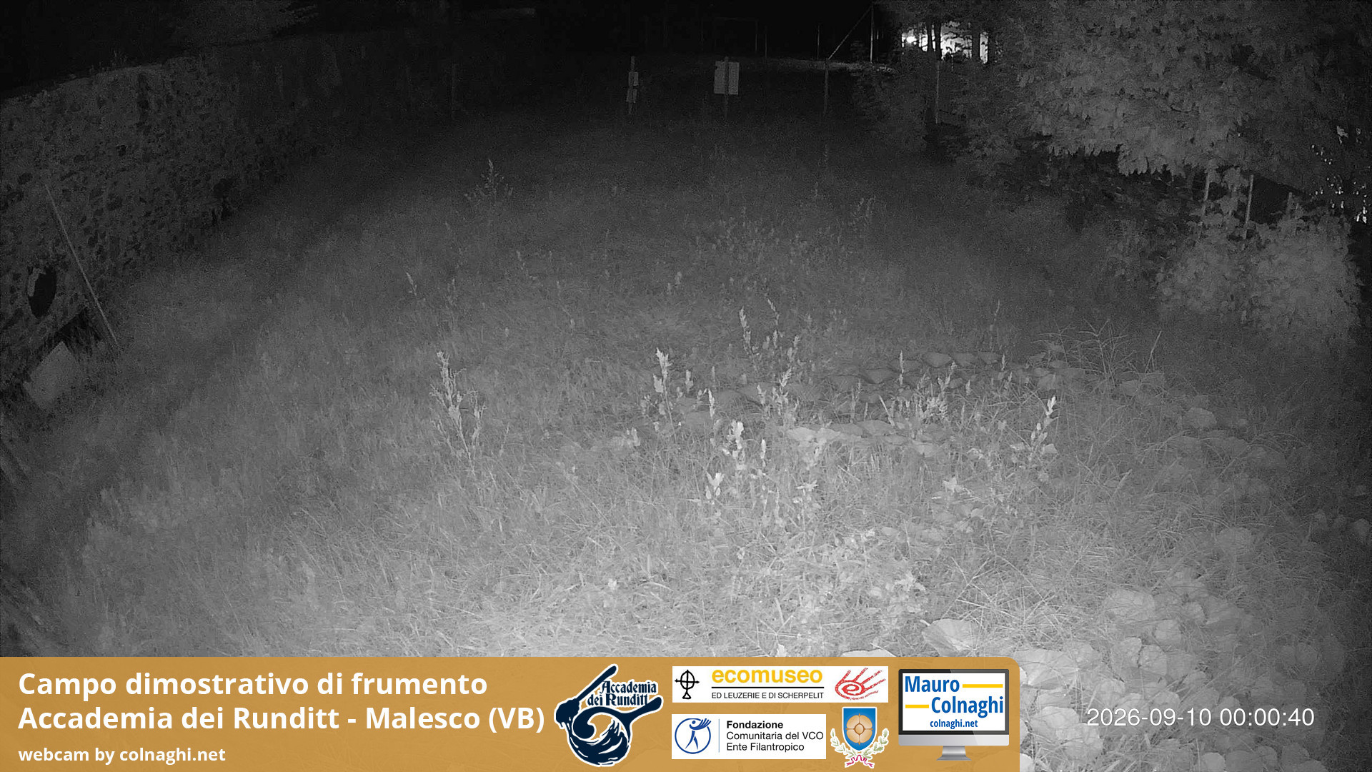 time-lapse frame, Grano webcam