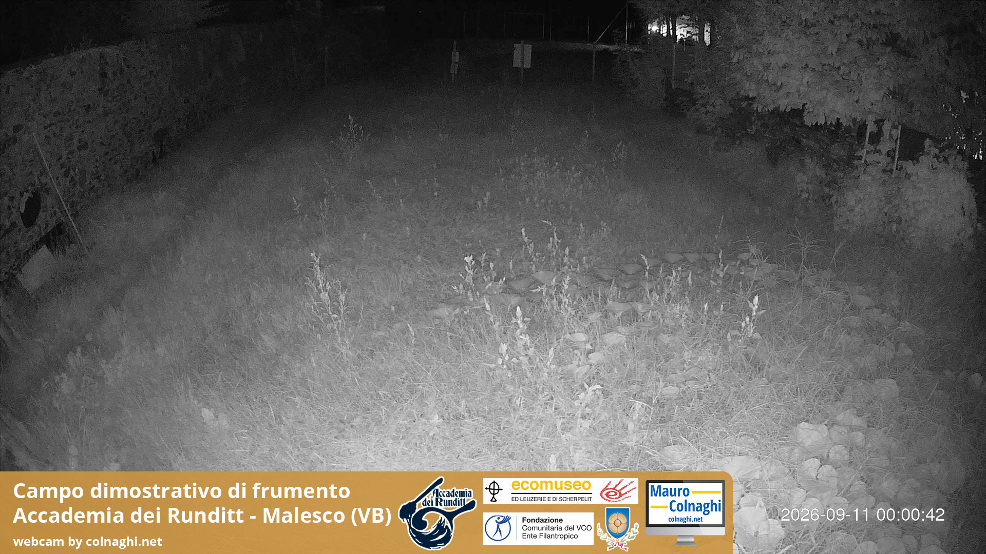 time-lapse frame, Grano webcam