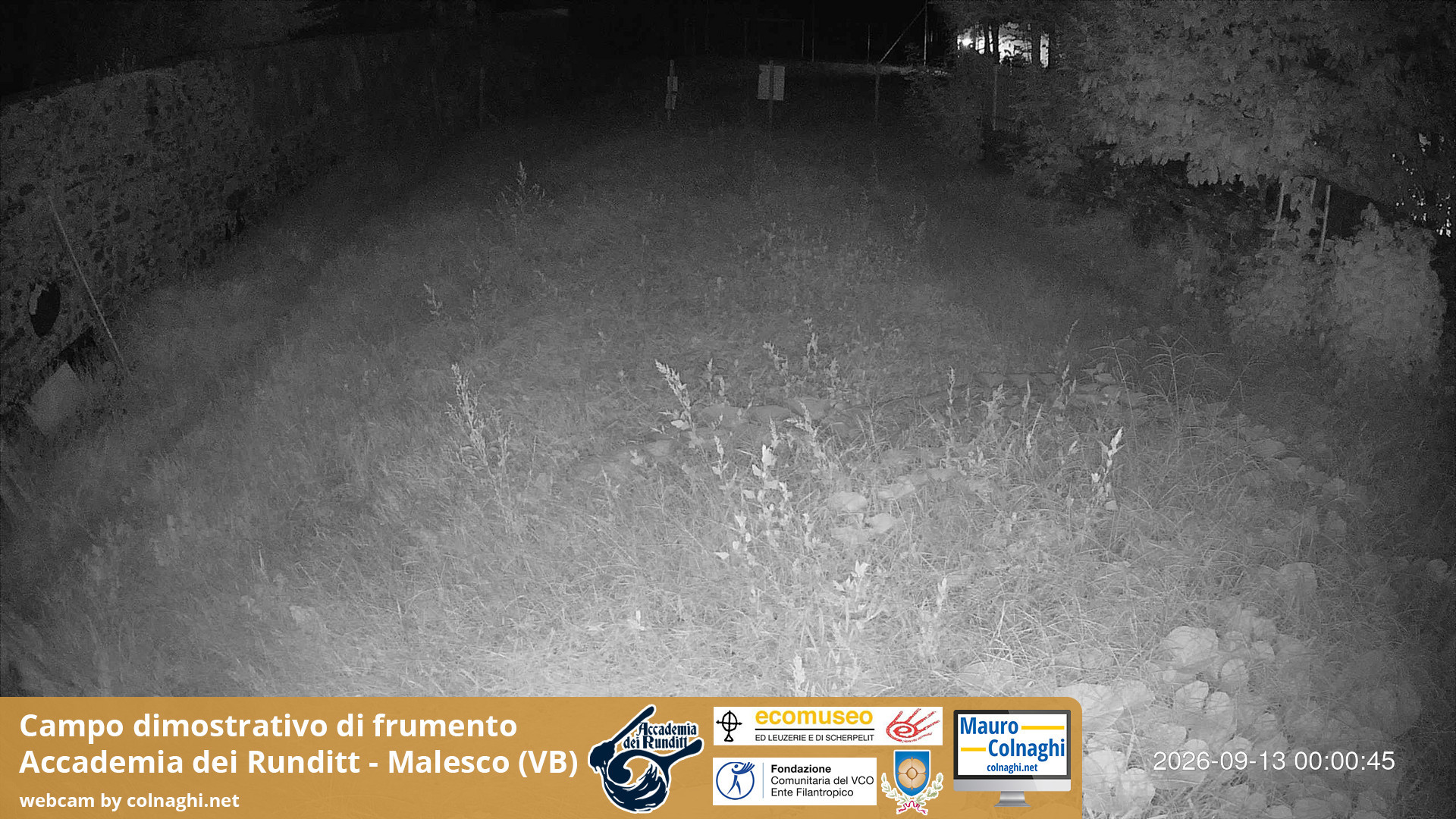 time-lapse frame, Grano webcam