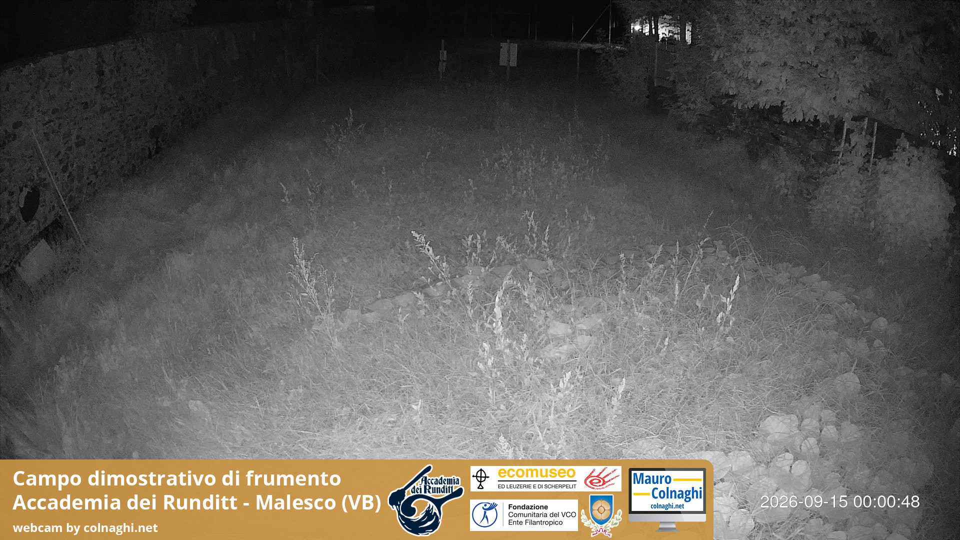 time-lapse frame, Grano webcam