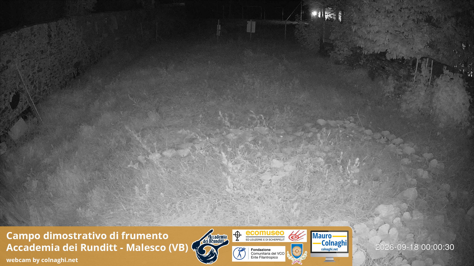 time-lapse frame, Grano webcam