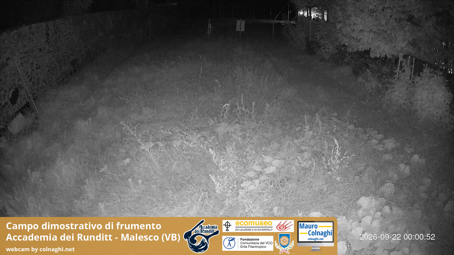 time-lapse frame, Grano webcam