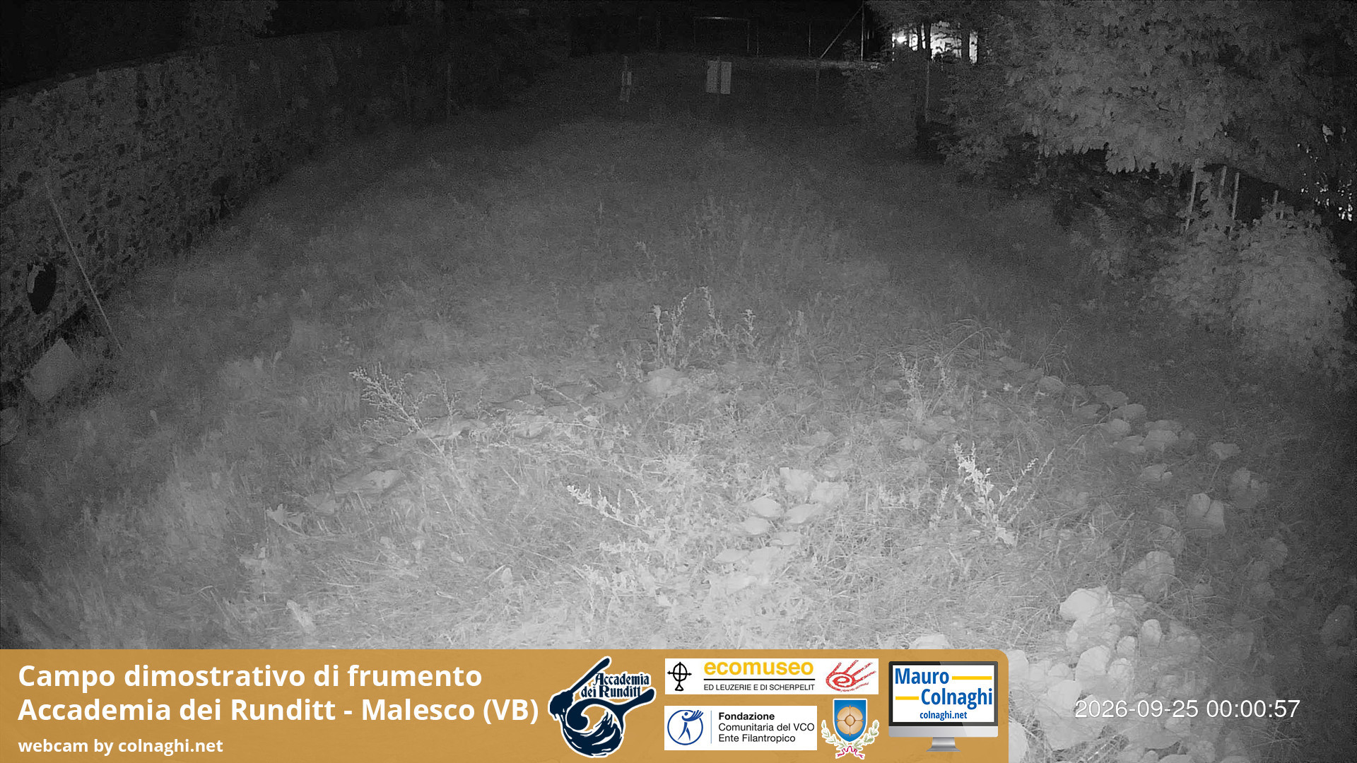 time-lapse frame, Grano webcam