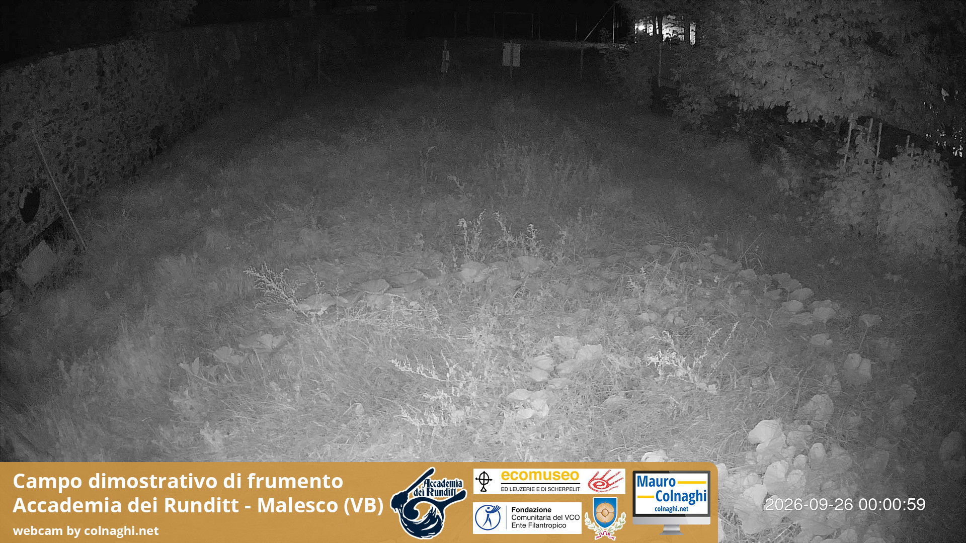 time-lapse frame, Grano webcam