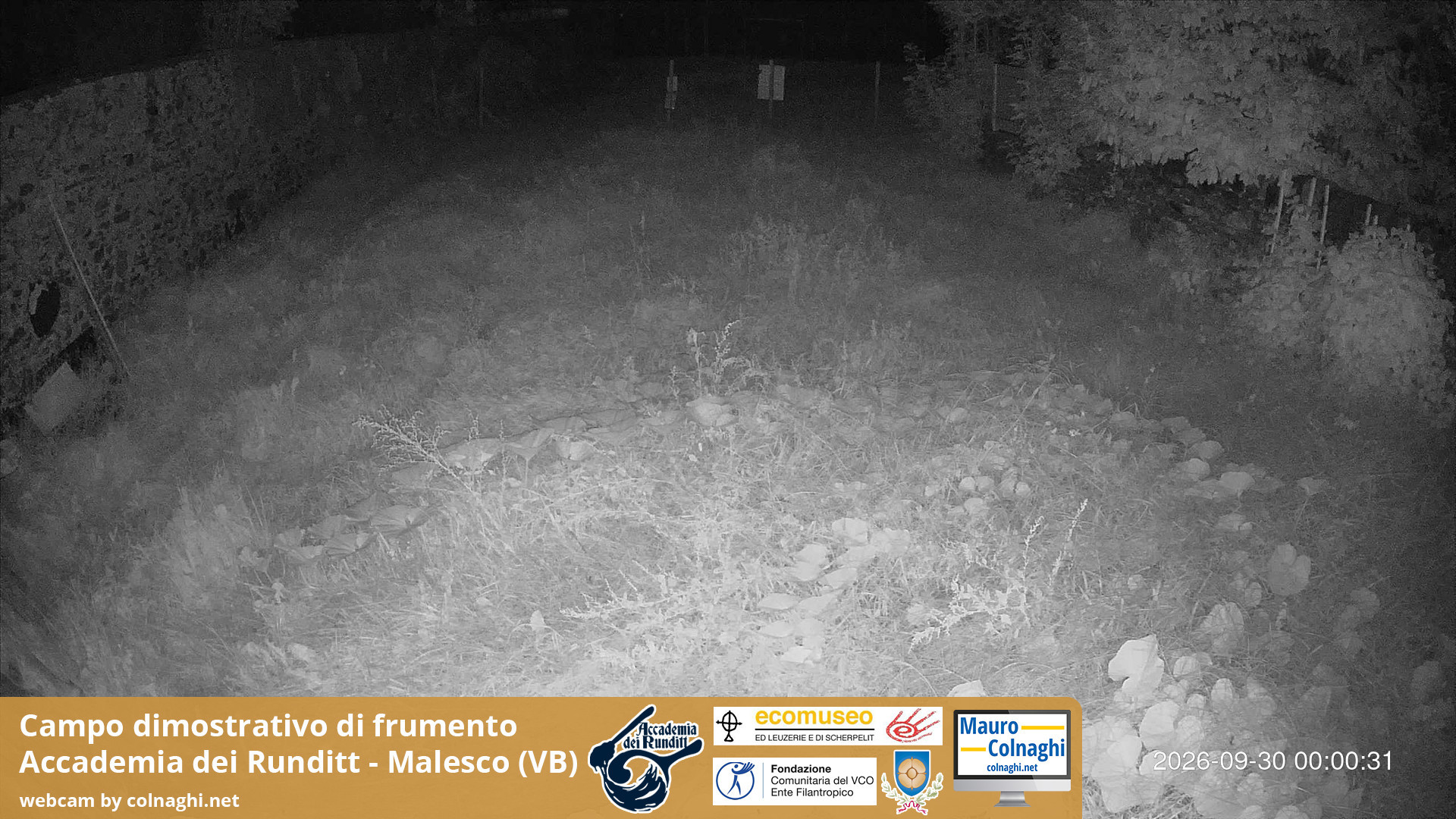 time-lapse frame, Grano webcam