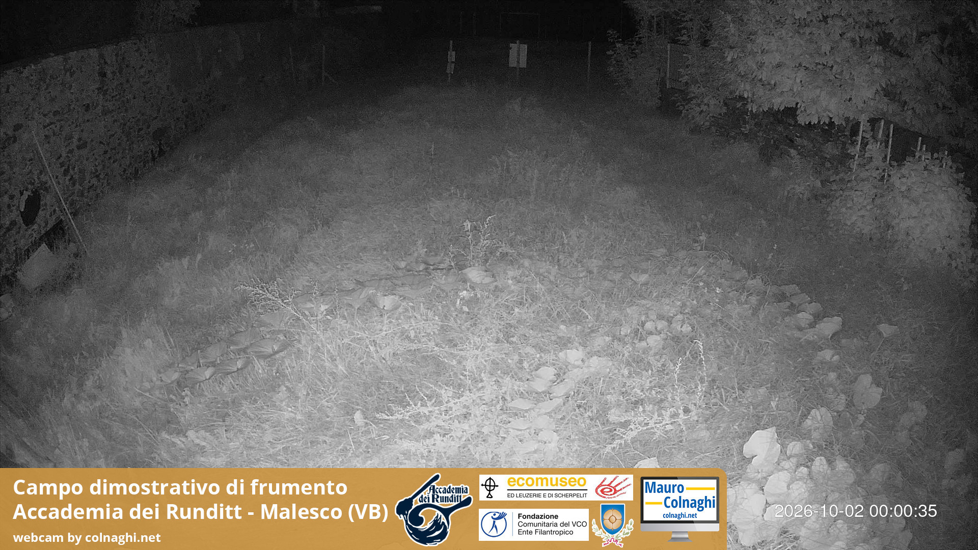 time-lapse frame, Grano webcam
