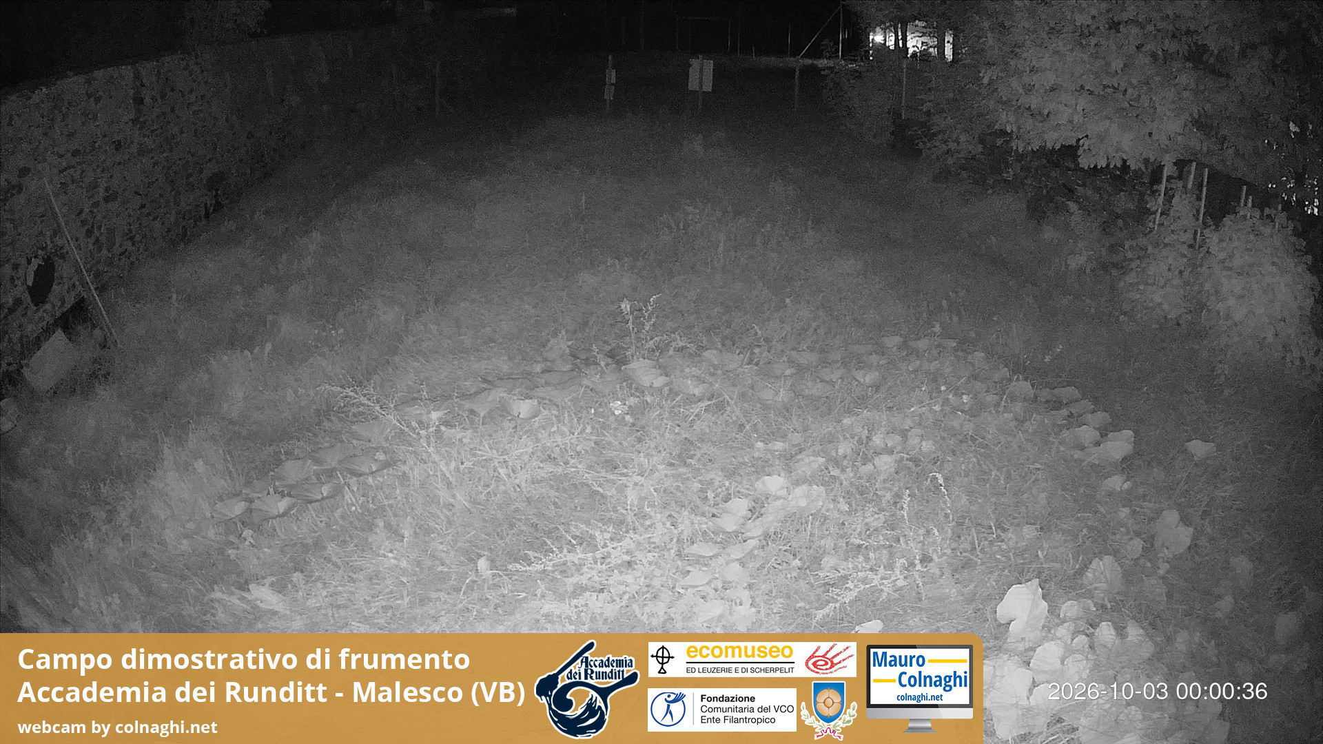 time-lapse frame, Grano webcam