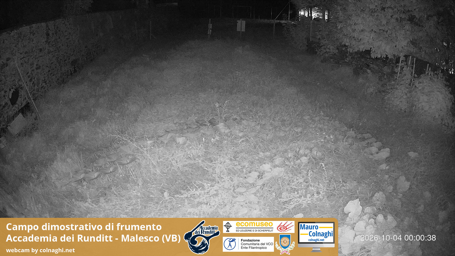 time-lapse frame, Grano webcam