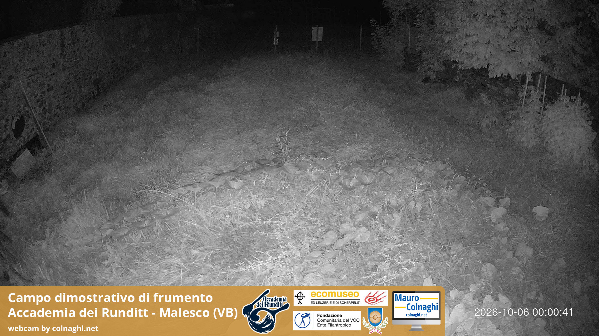 time-lapse frame, Grano webcam