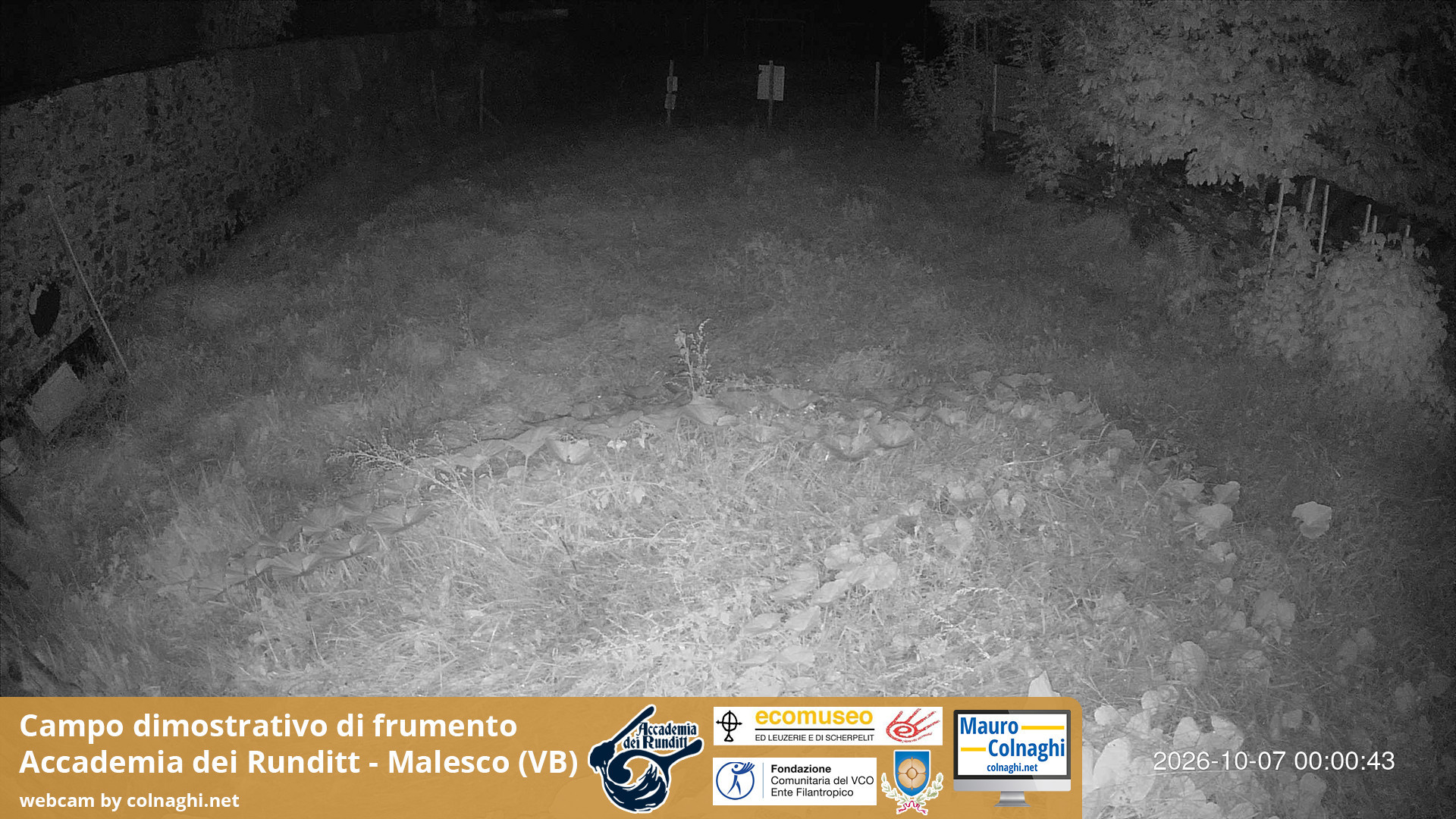 time-lapse frame, Grano webcam