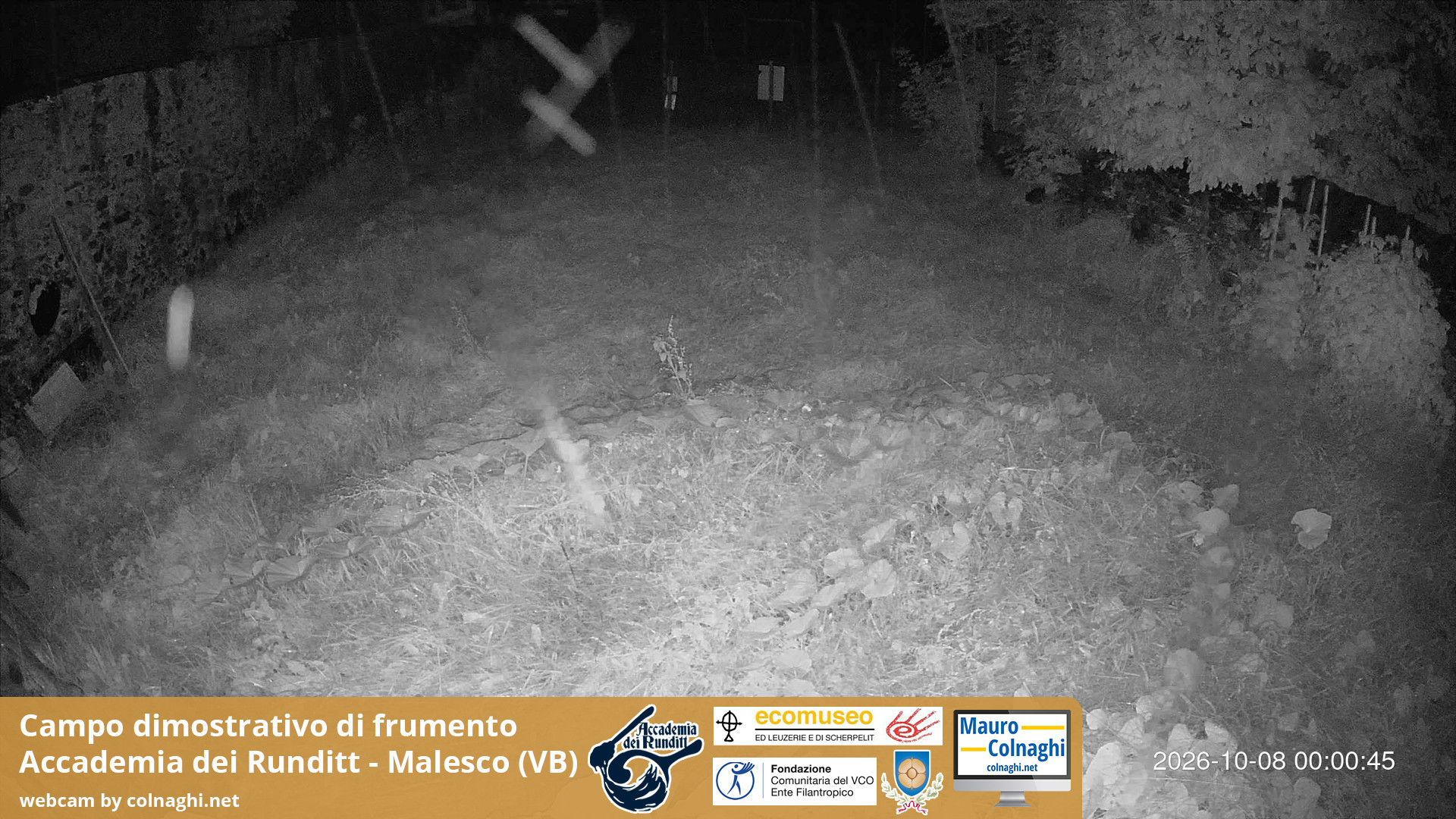 time-lapse frame, Grano webcam