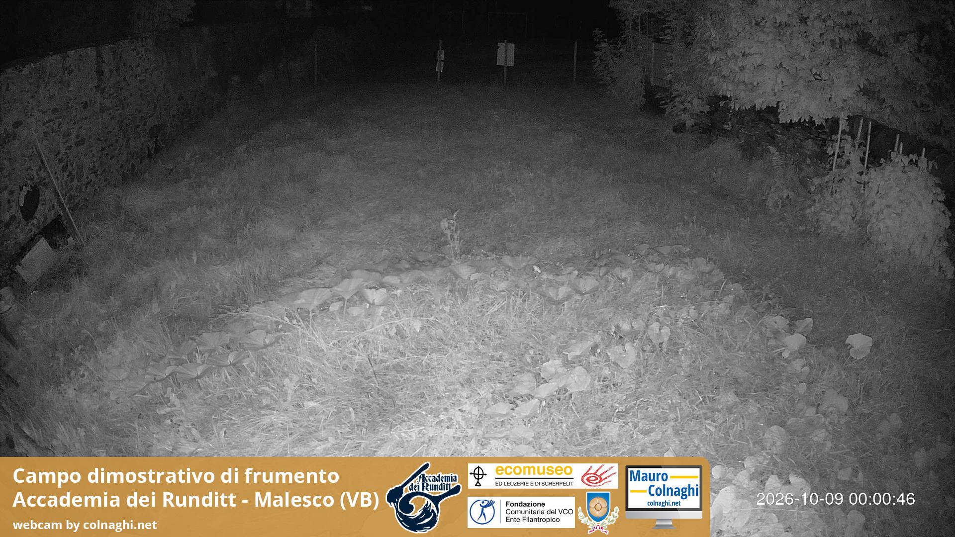 time-lapse frame, Grano webcam