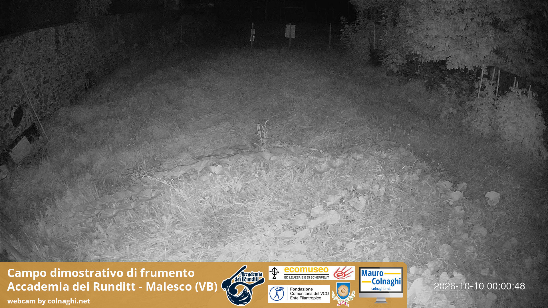 time-lapse frame, Grano webcam