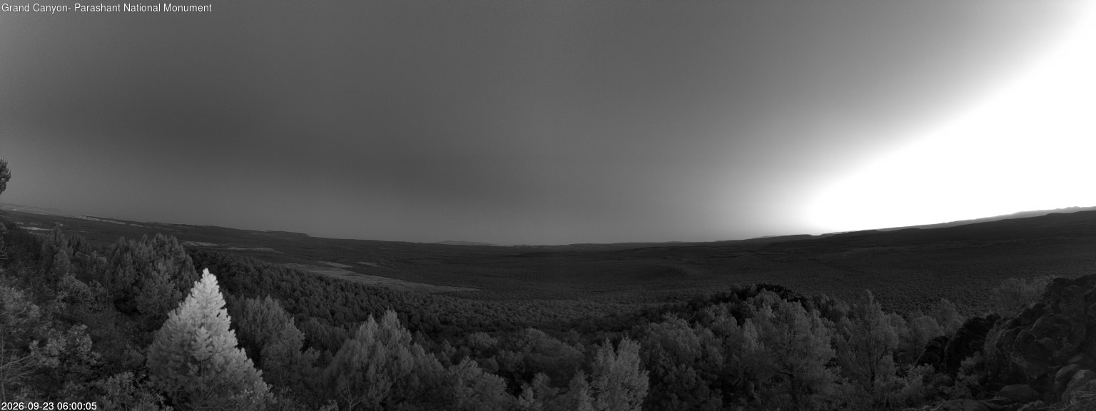 time-lapse frame, Mt Dellenbaugh - North Vista webcam