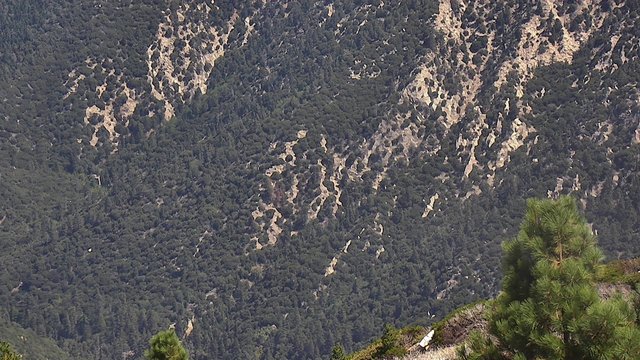 view from Snow Valley Slide Peak on 2026-09-13