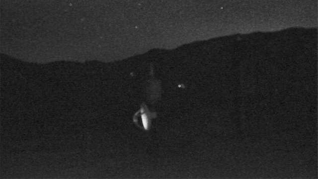 time-lapse frame, Snow Valley Slide Peak webcam
