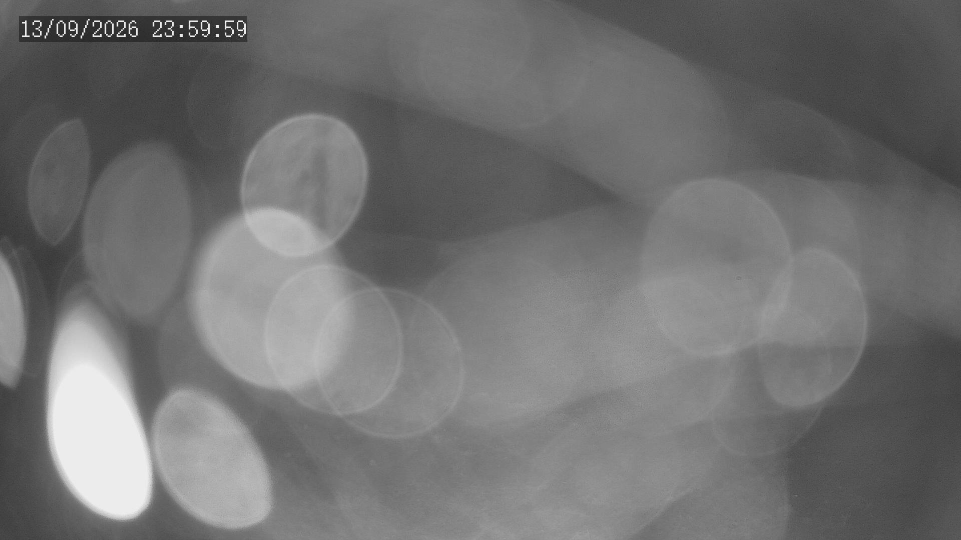time-lapse frame, Chitengo webcam