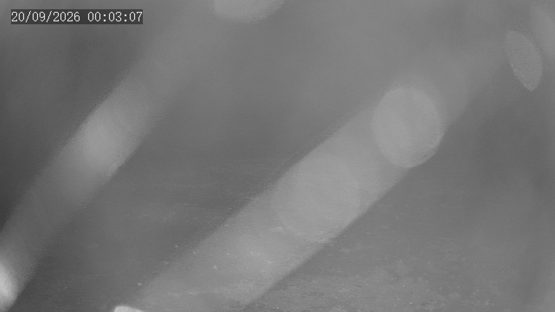 time-lapse frame, Chitengo webcam
