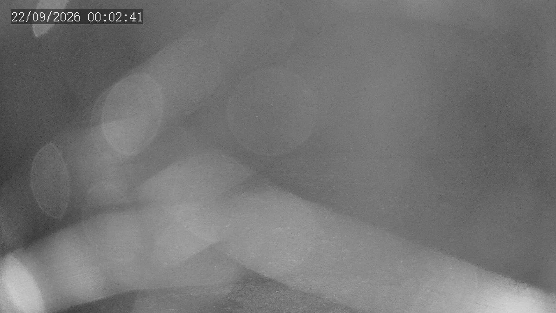 time-lapse frame, Chitengo webcam