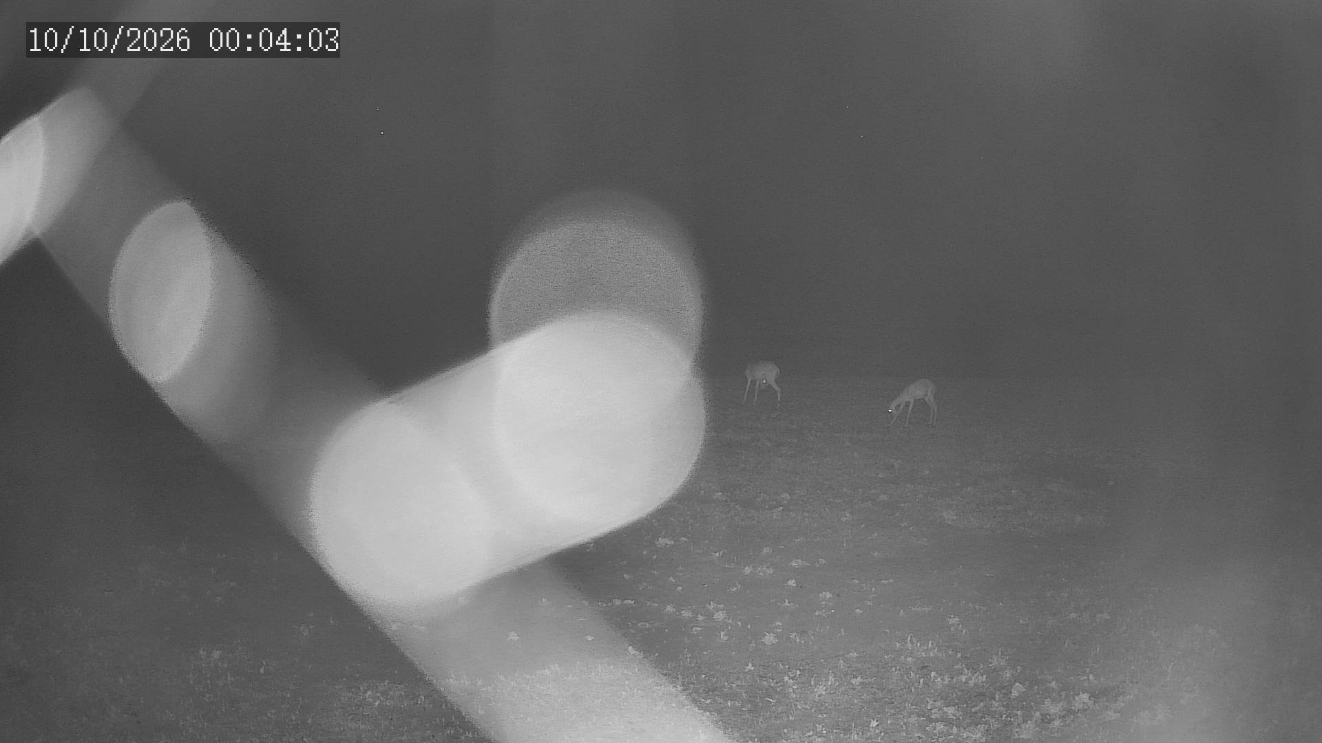 time-lapse frame, Chitengo webcam