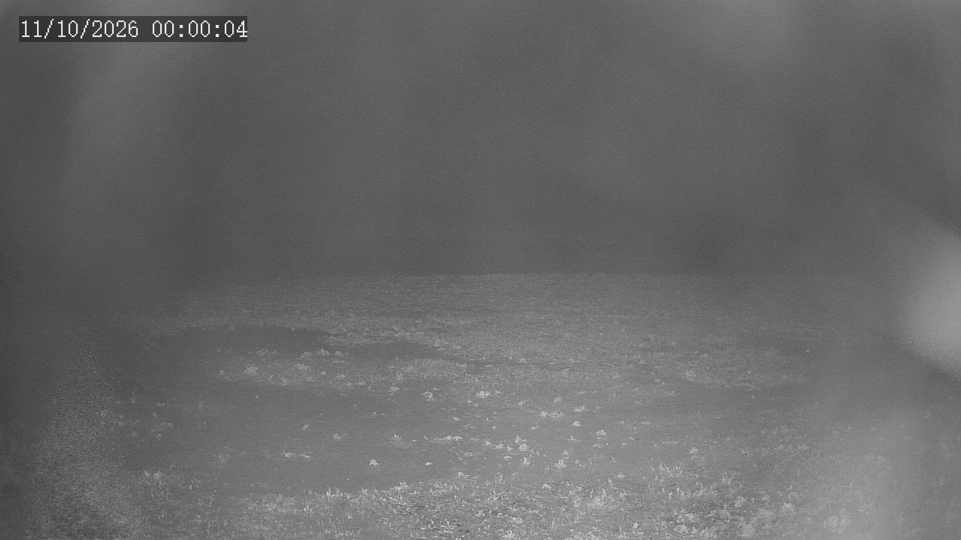 time-lapse frame, Chitengo webcam