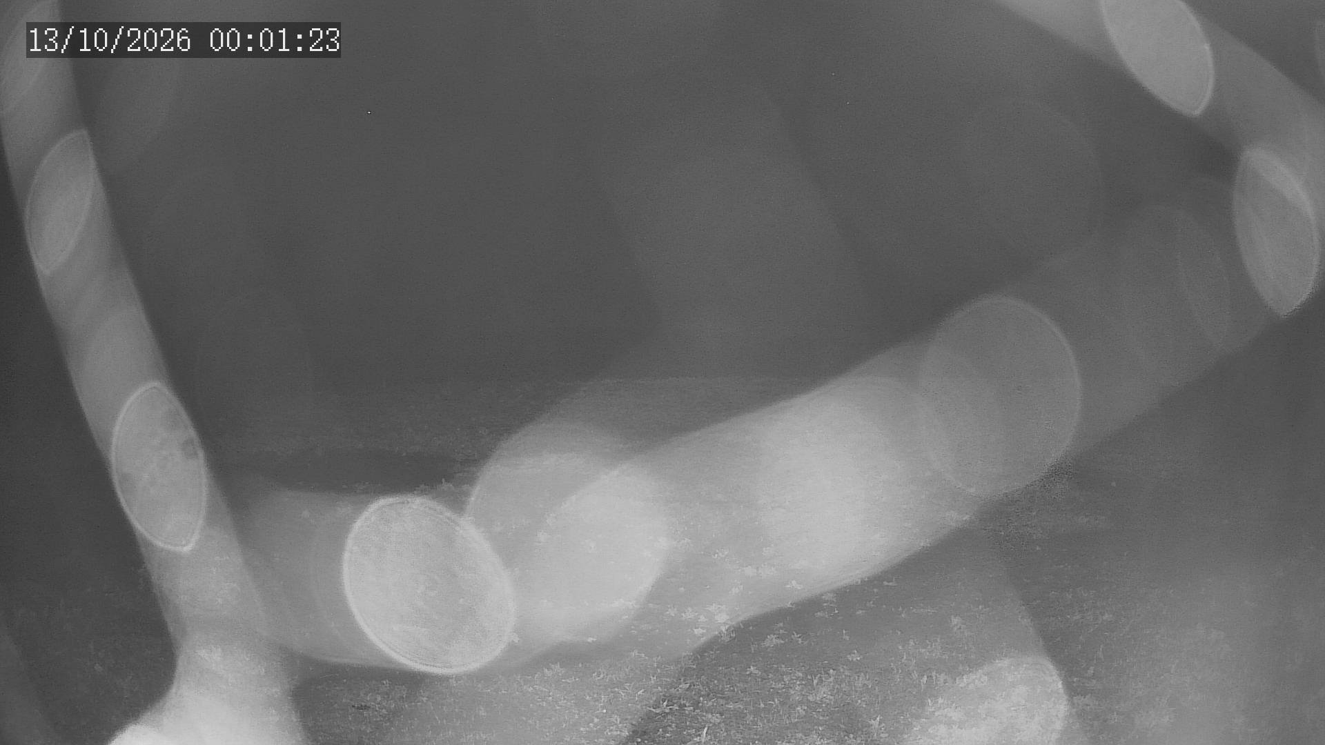 time-lapse frame, Chitengo webcam