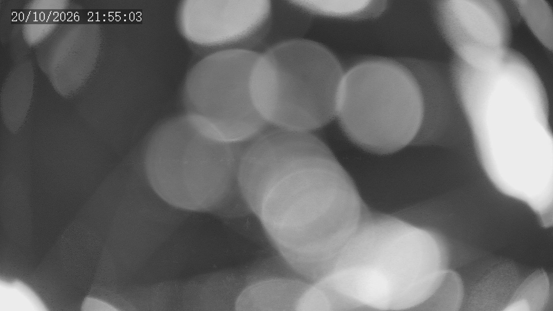 time-lapse frame, Chitengo webcam