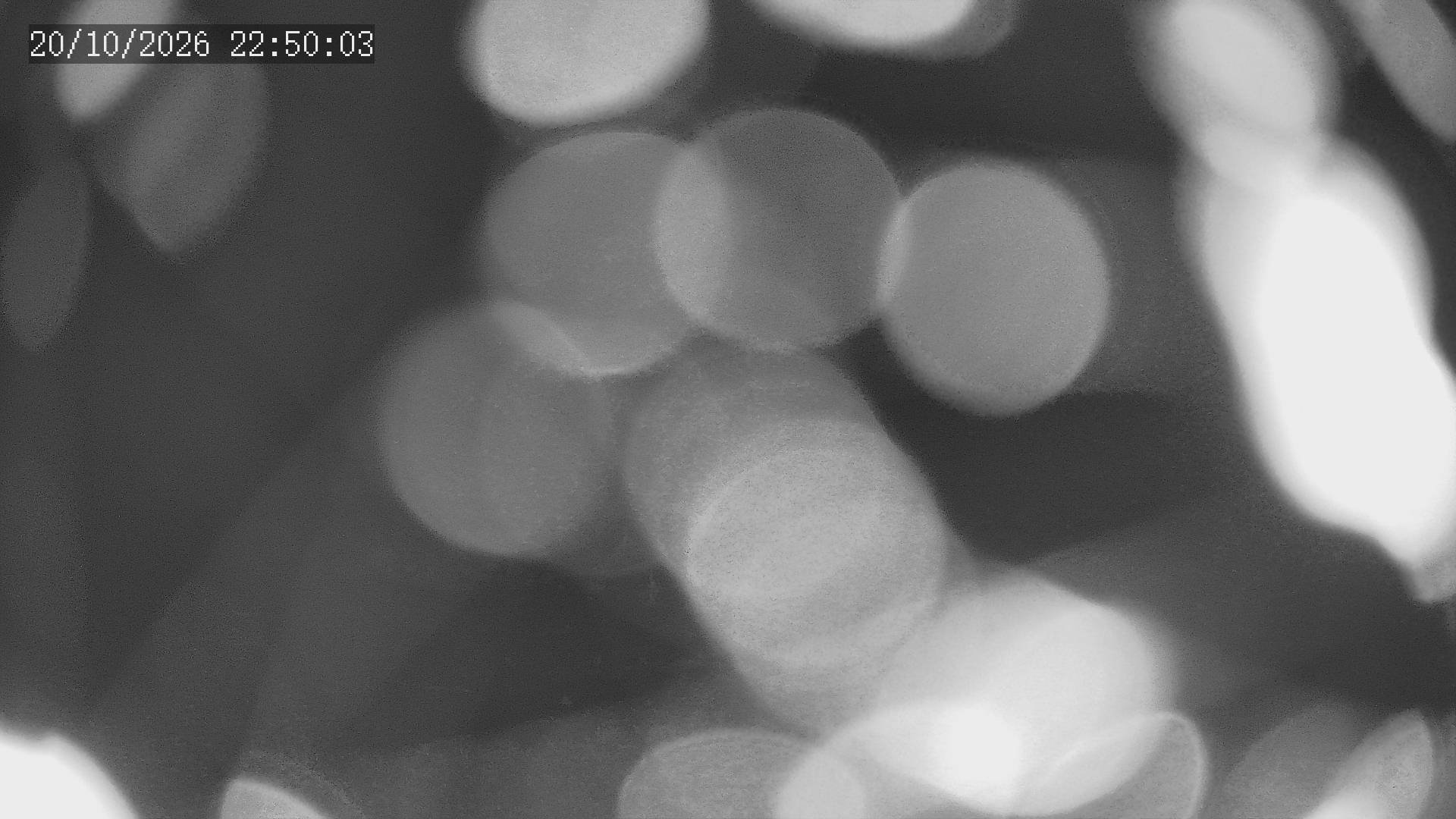 time-lapse frame, Chitengo webcam