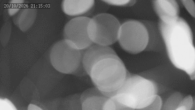 Chitengo animated GIF