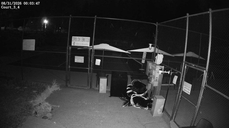 time-lapse frame, ZCTC cts 3 4 webcam