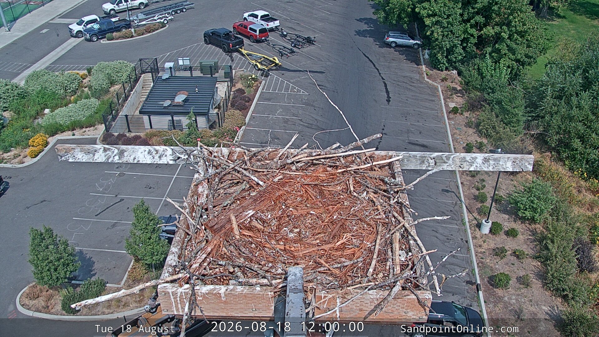 view from Sandpoint Online - Osprey Nest Time-lapse on 2026-08-18