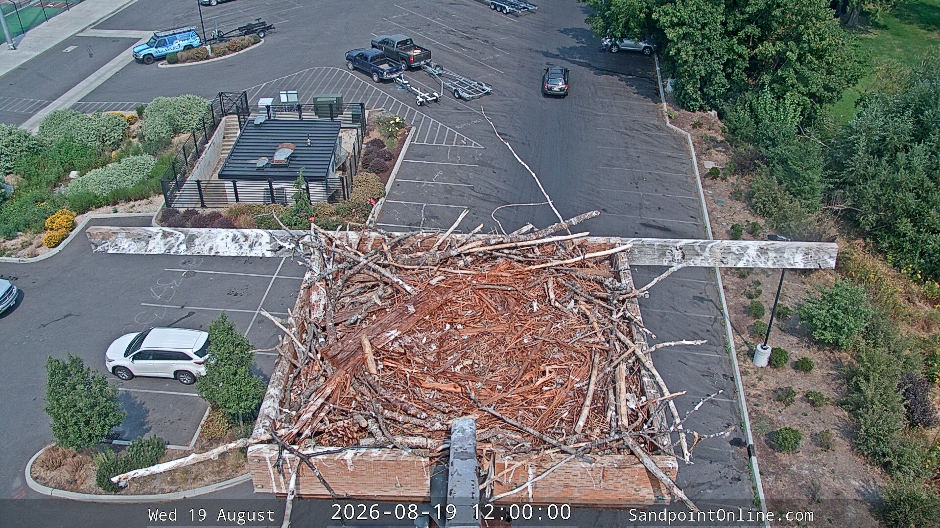 view from Sandpoint Online - Osprey Nest Time-lapse on 2026-08-19