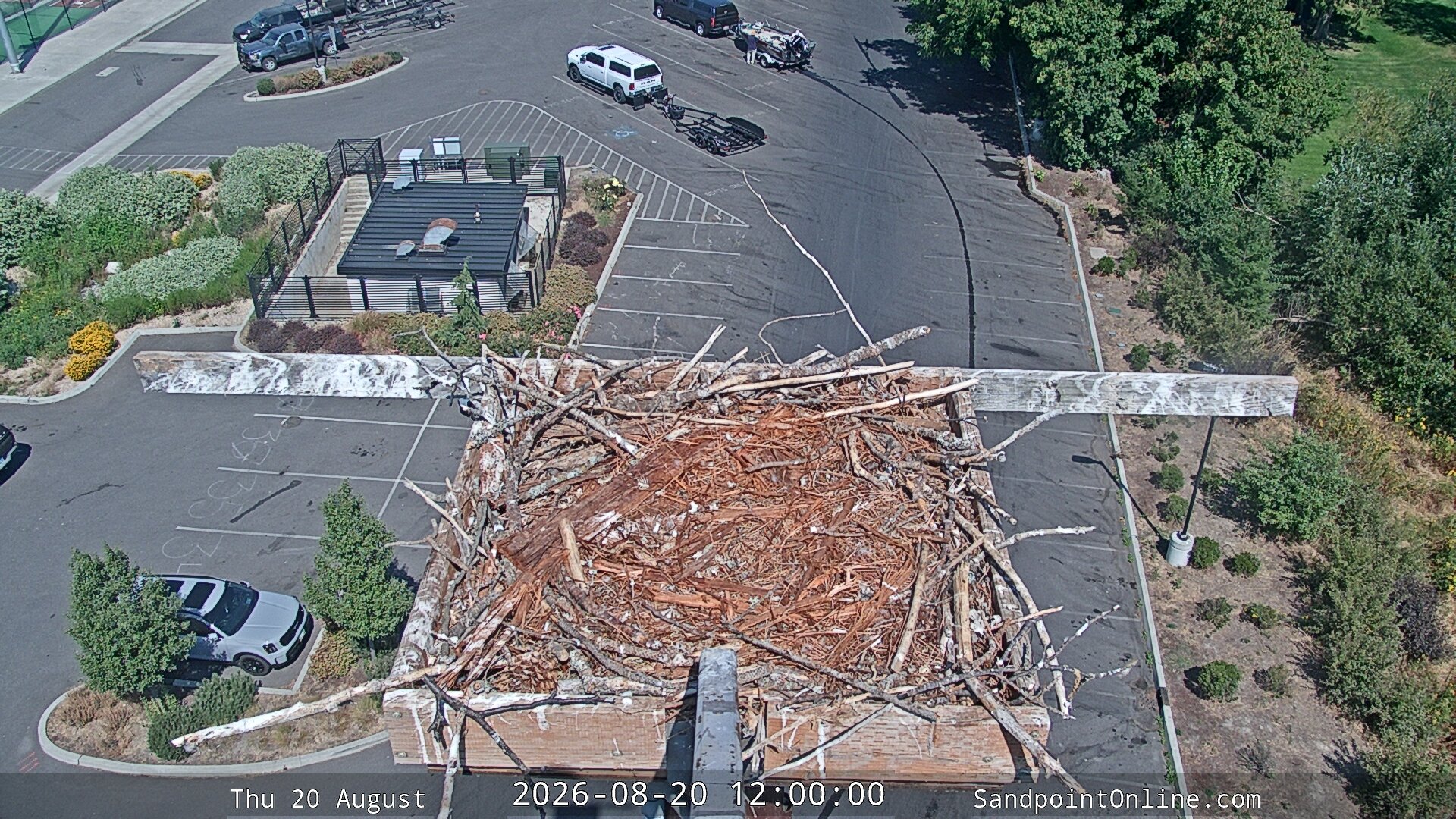 view from Sandpoint Online - Osprey Nest Time-lapse on 2026-08-20