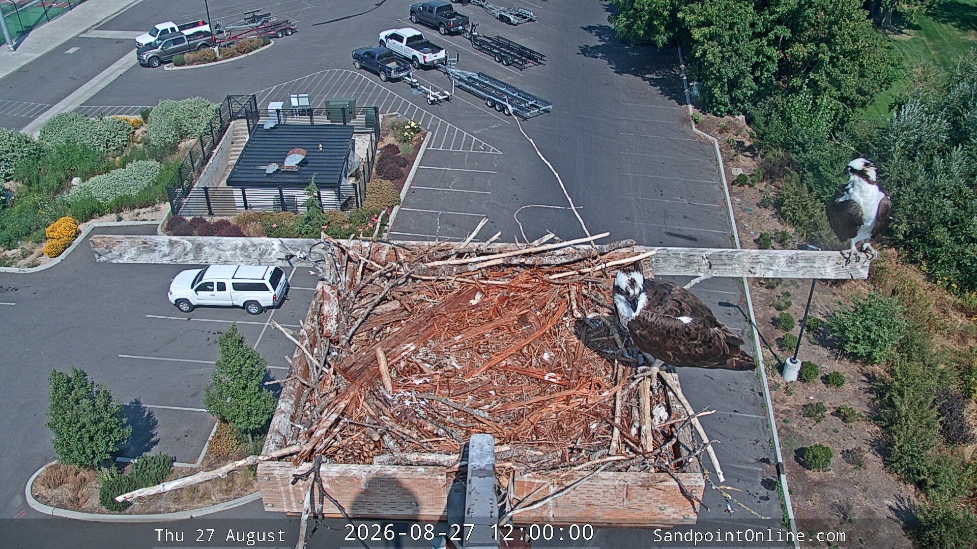 view from Sandpoint Online - Osprey Nest Time-lapse on 2026-08-27