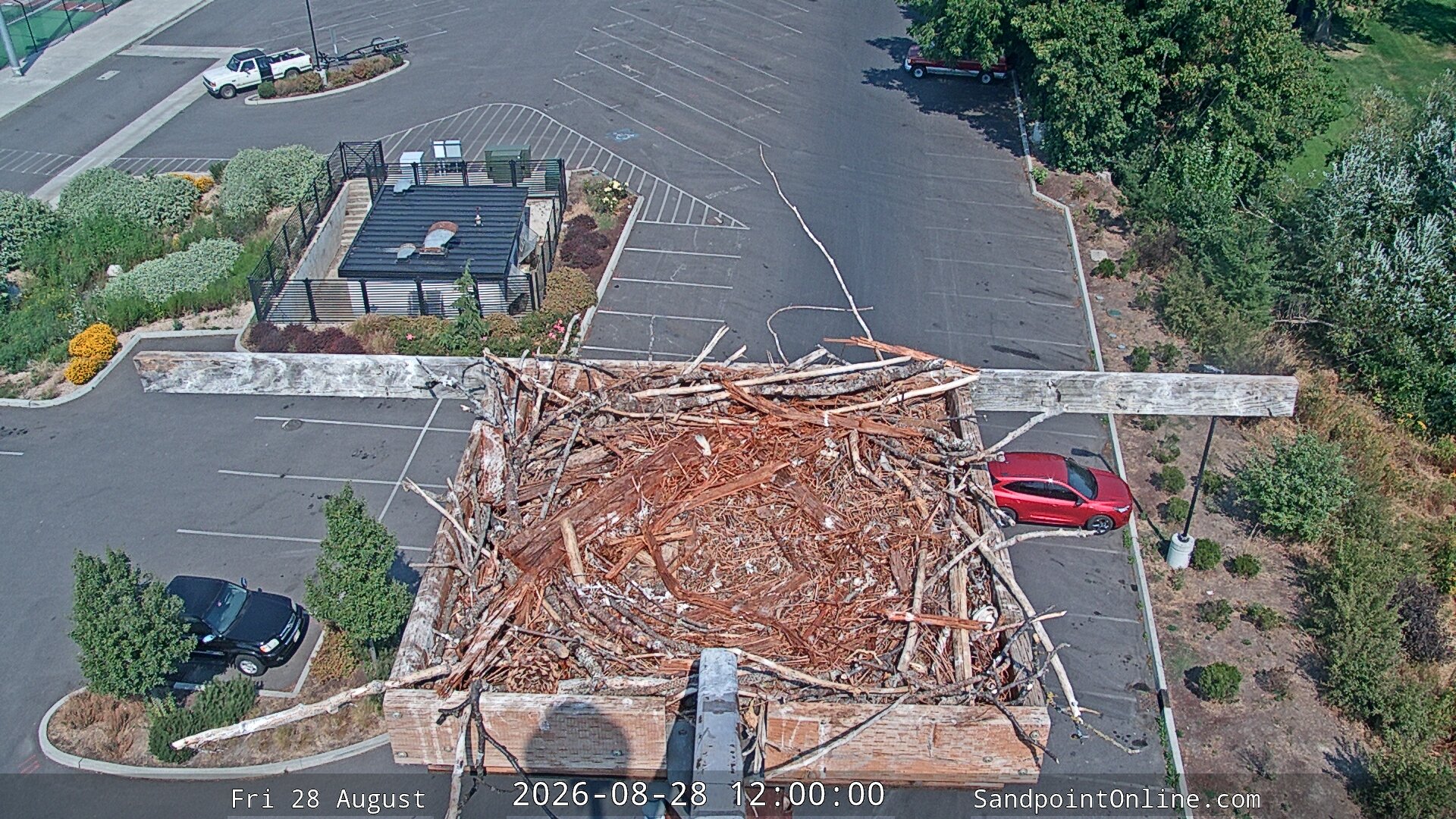 view from Sandpoint Online - Osprey Nest Time-lapse on 2026-08-28