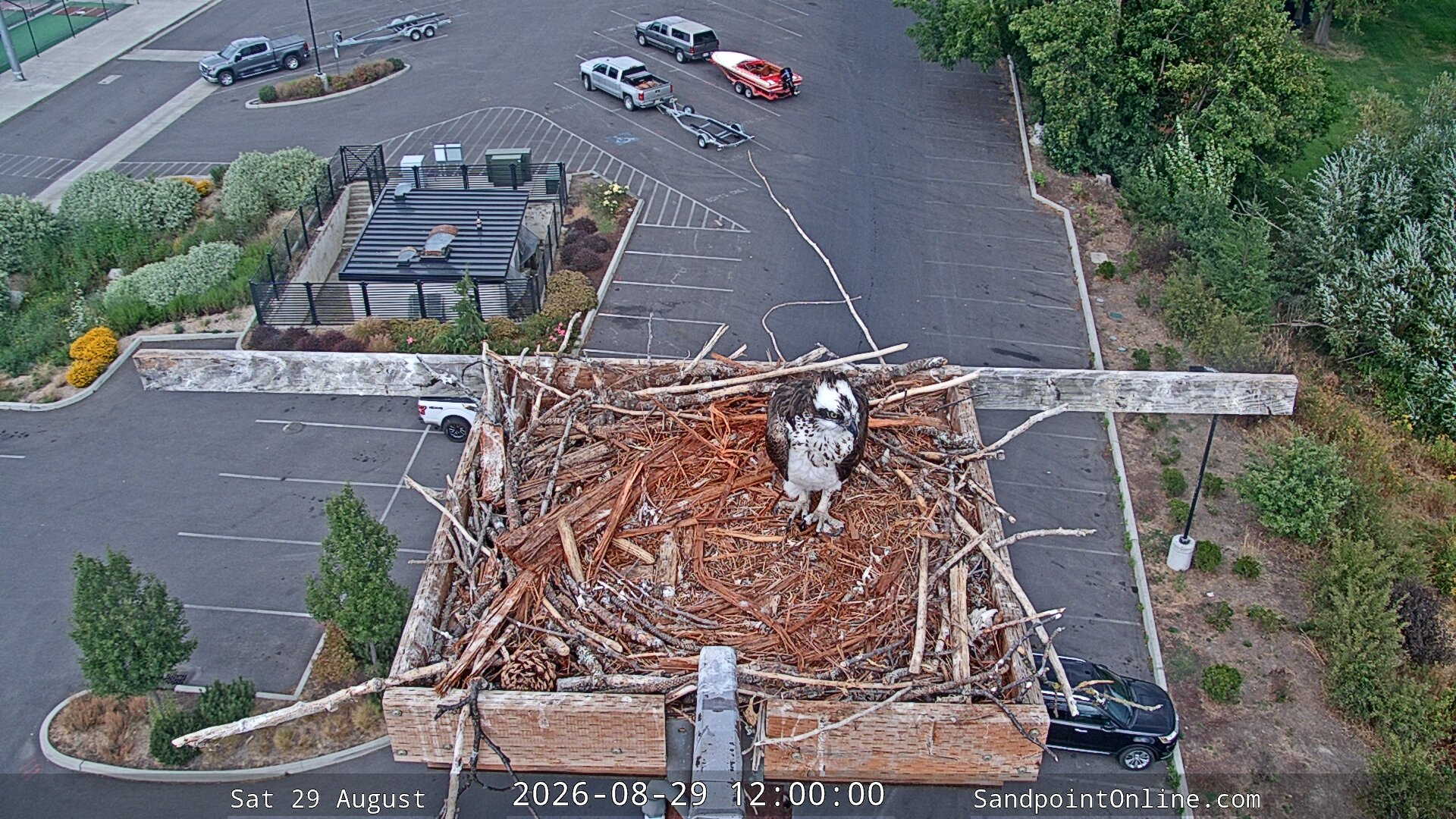 view from Sandpoint Online - Osprey Nest Time-lapse on 2026-08-29