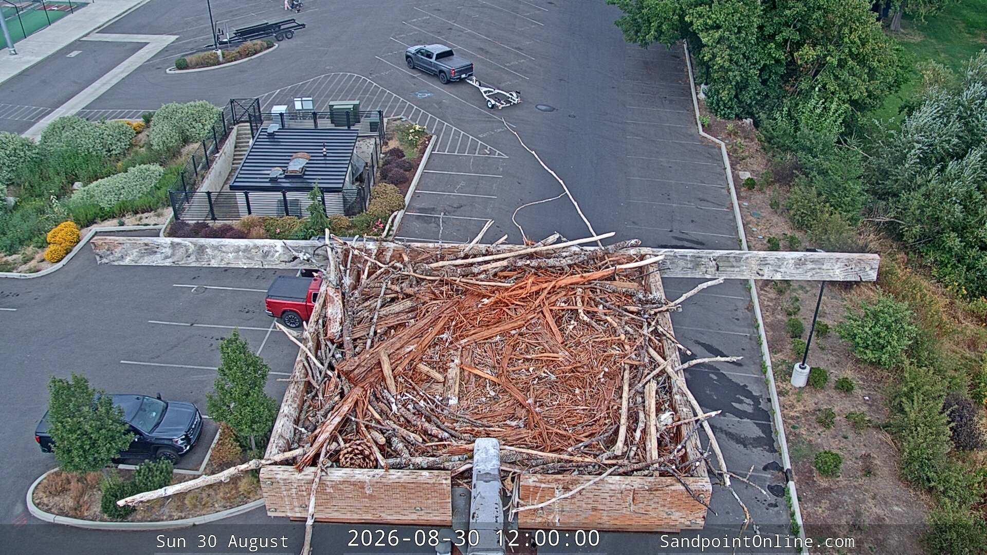 view from Sandpoint Online - Osprey Nest Time-lapse on 2026-08-30