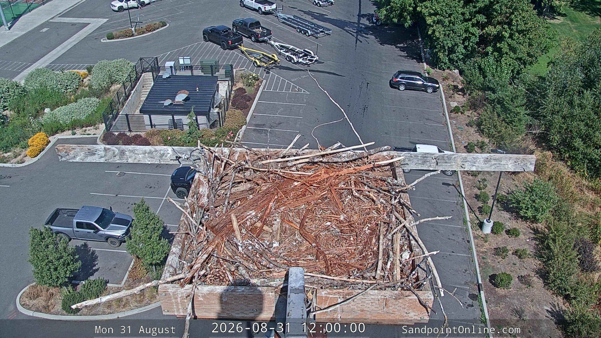 view from Sandpoint Online - Osprey Nest Time-lapse on 2026-08-31