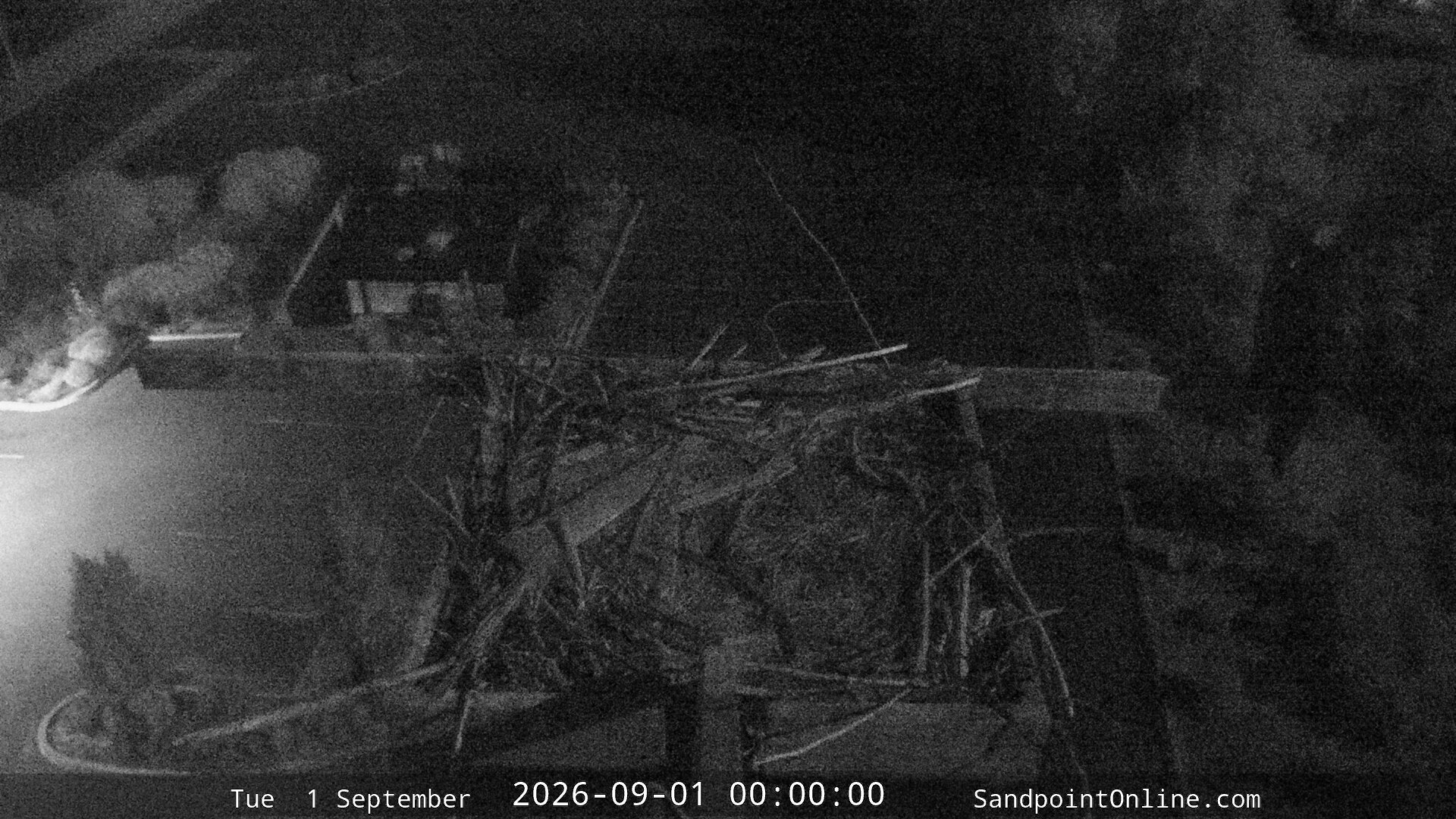 time-lapse frame, Sandpoint Online - Osprey Nest Time-lapse webcam