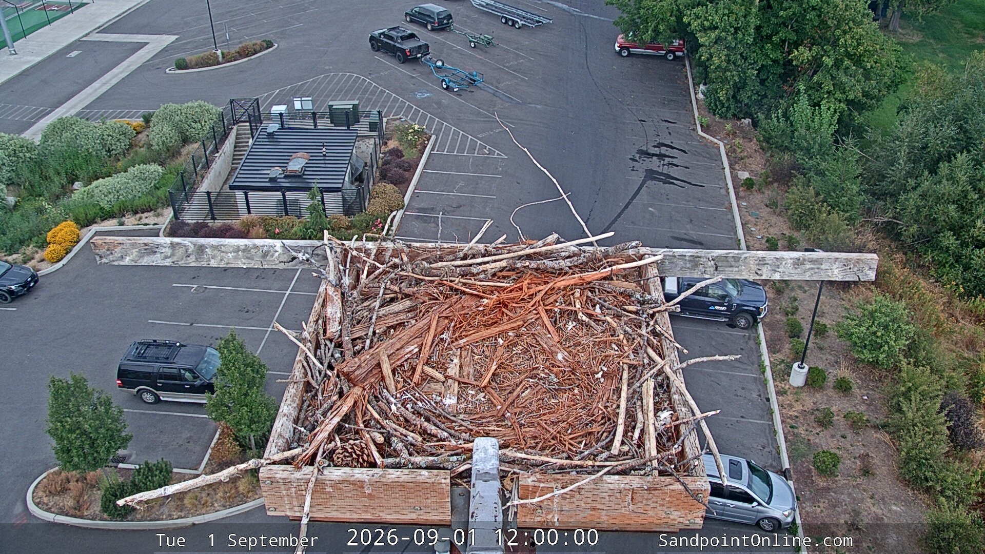 view from Sandpoint Online - Osprey Nest Time-lapse on 2026-09-01