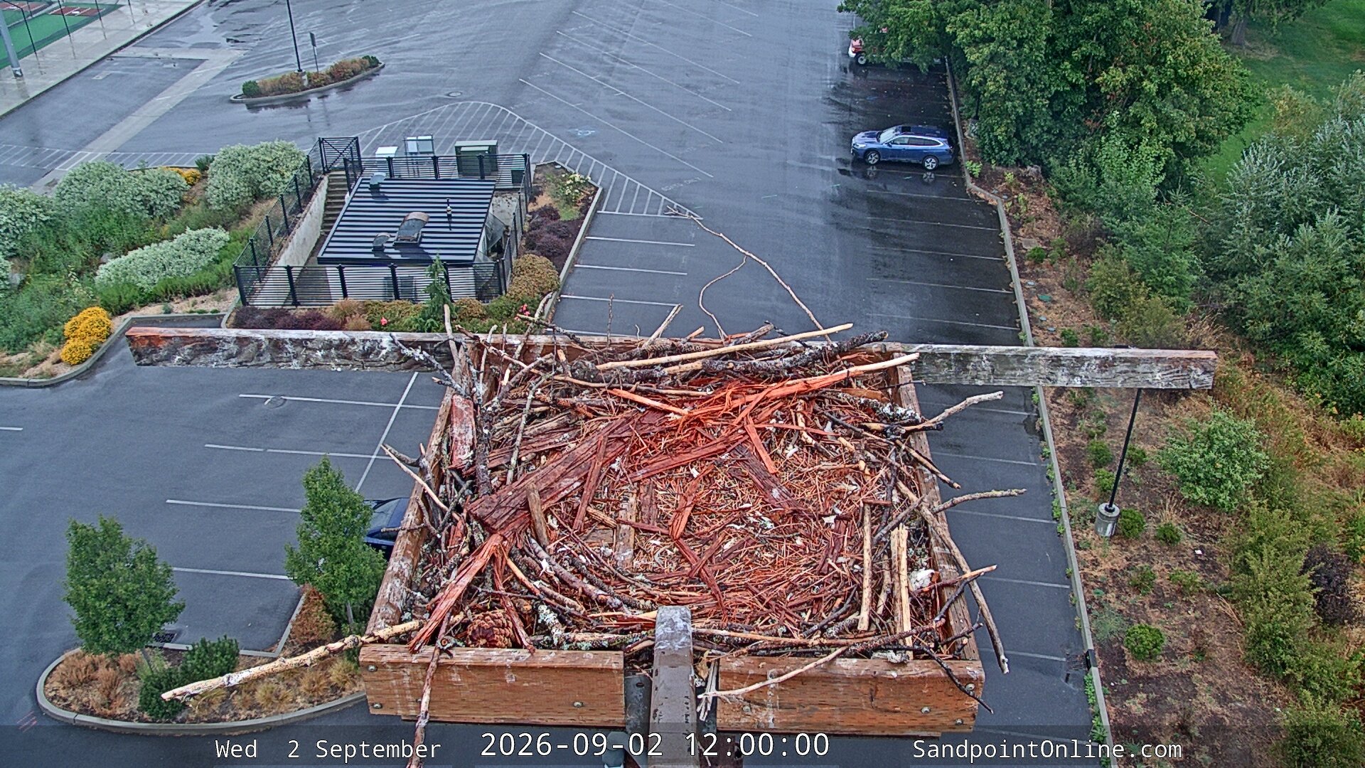 view from Sandpoint Online - Osprey Nest Time-lapse on 2026-09-02