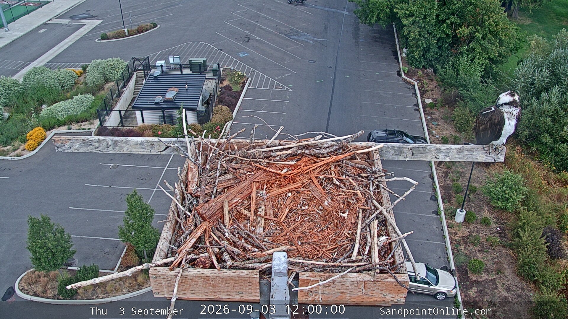 view from Sandpoint Online - Osprey Nest Time-lapse on 2026-09-03