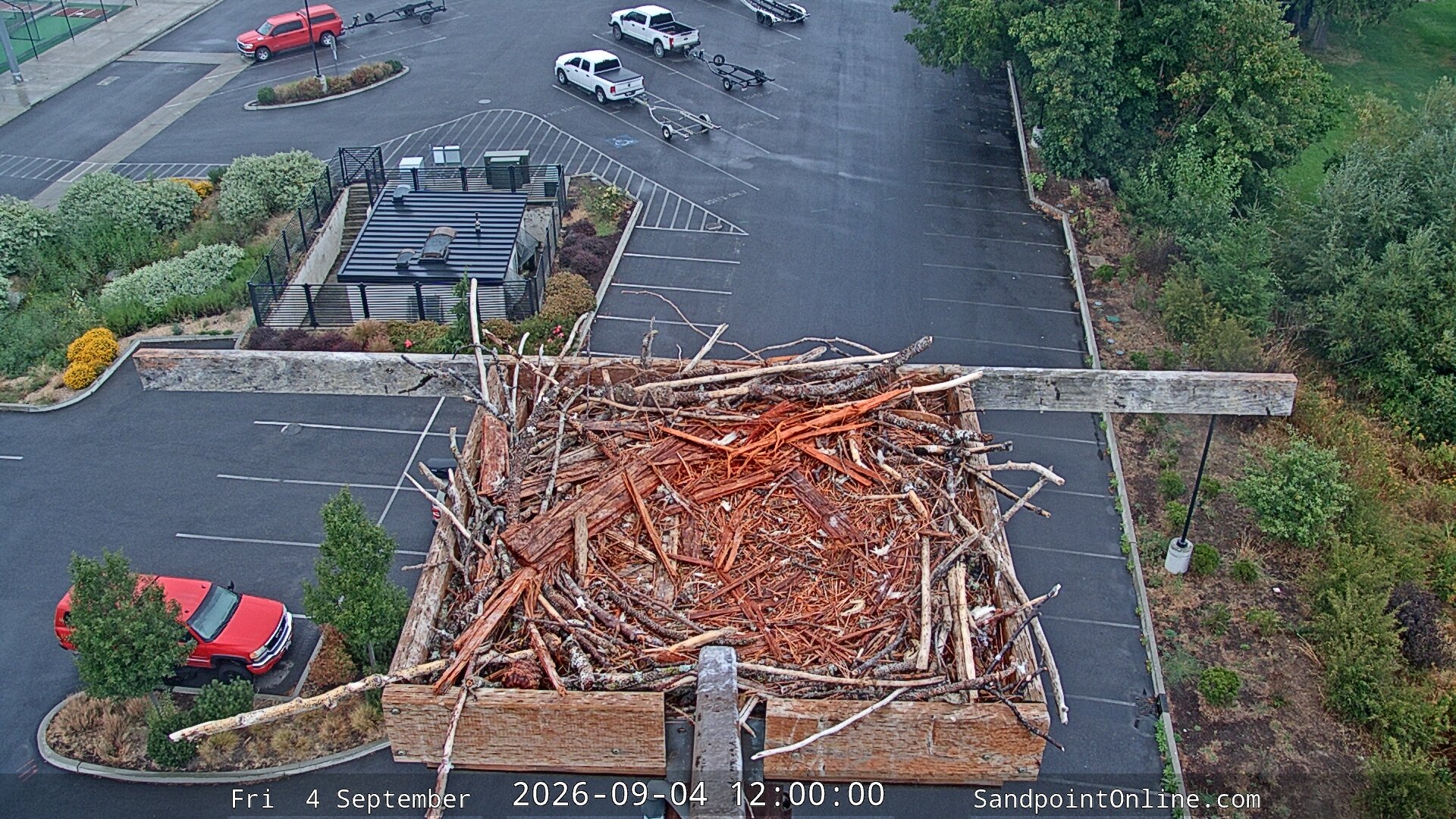 view from Sandpoint Online - Osprey Nest Time-lapse on 2026-09-04