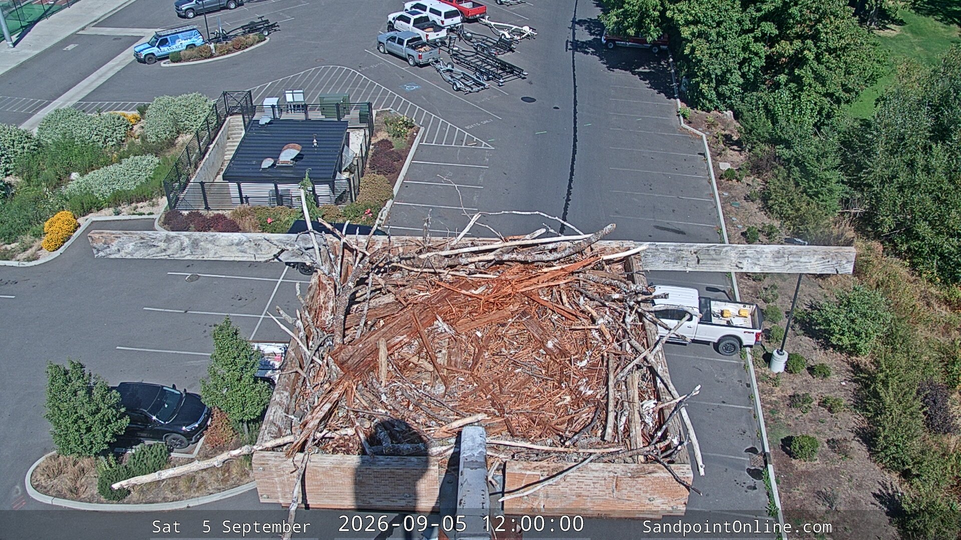view from Sandpoint Online - Osprey Nest Time-lapse on 2026-09-05