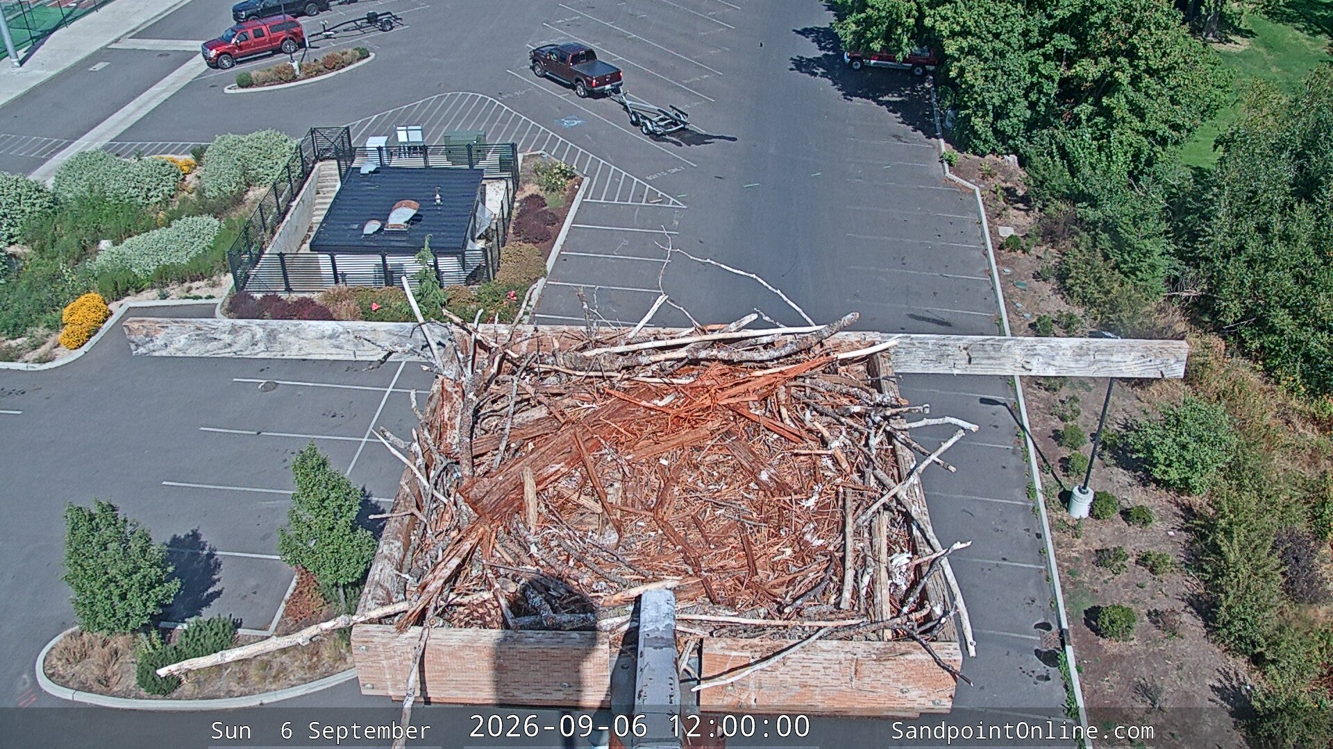 view from Sandpoint Online - Osprey Nest Time-lapse on 2026-09-06