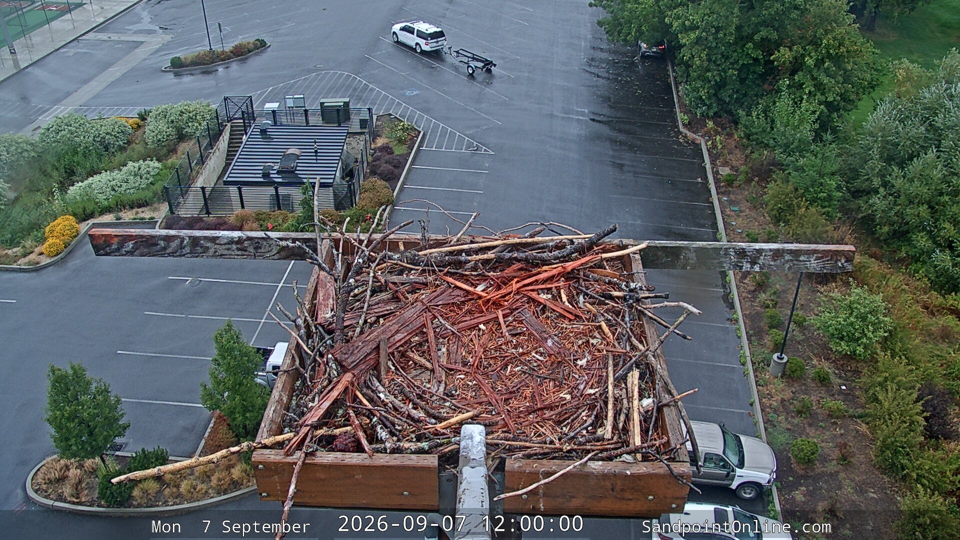 view from Sandpoint Online - Osprey Nest Time-lapse on 2026-09-07