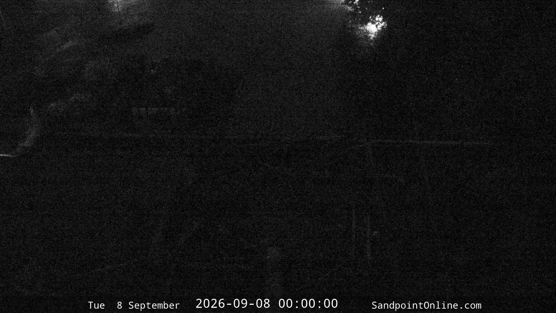 time-lapse frame, Sandpoint Online - Osprey Nest Time-lapse webcam