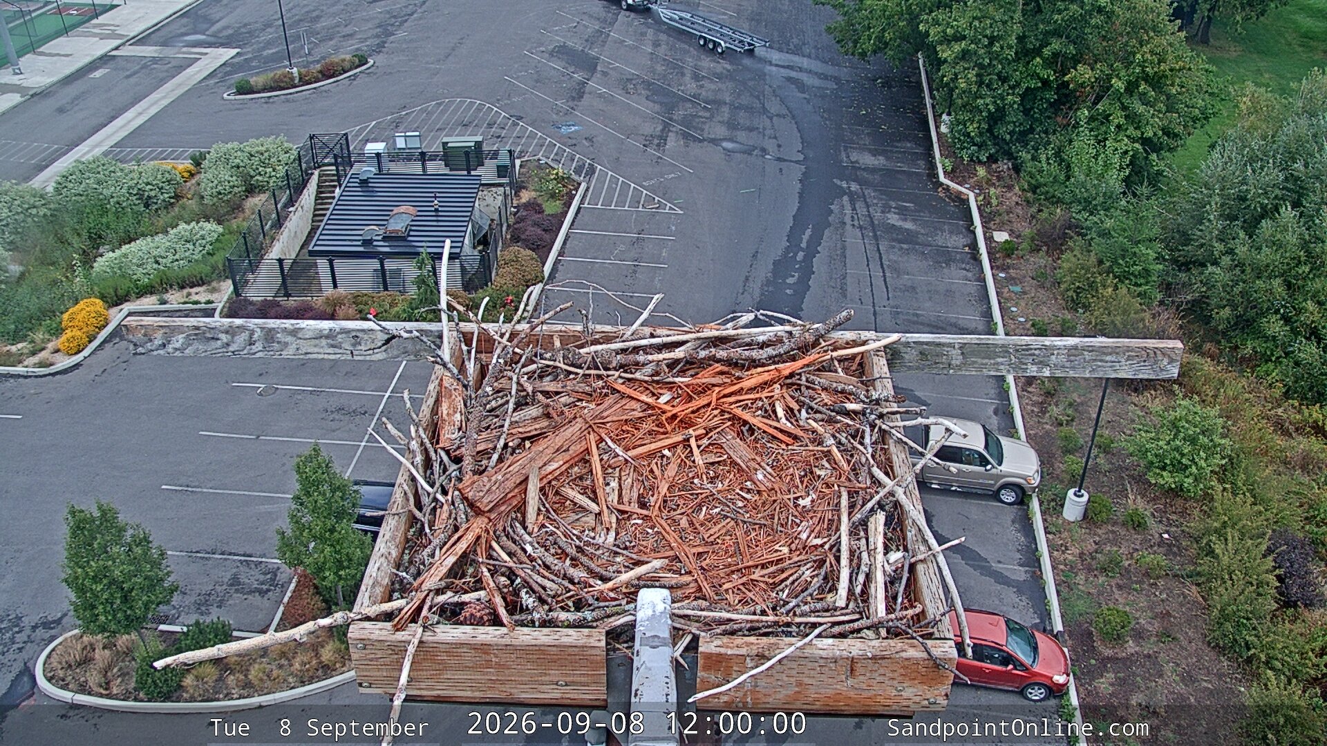 view from Sandpoint Online - Osprey Nest Time-lapse on 2026-09-08